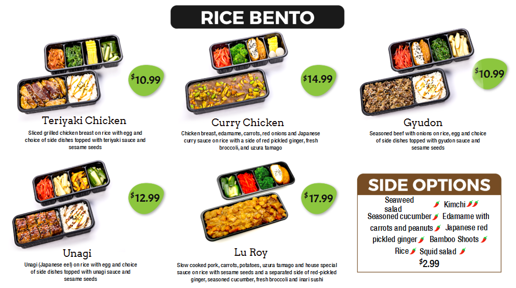 Rice Bento